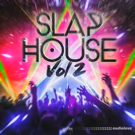 2Deep Beats Slap House Vol 2 [WAV, MiDi]
