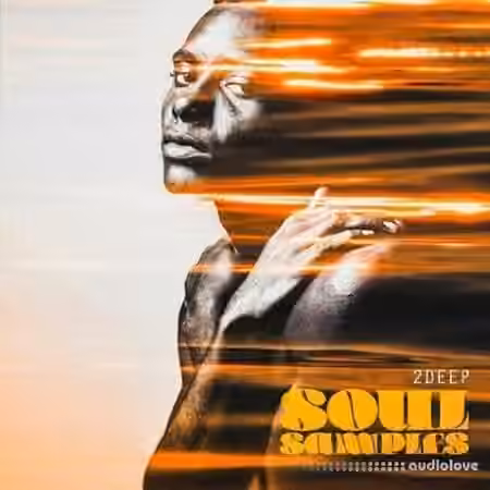 2DEEP Soul Samples [WAV]