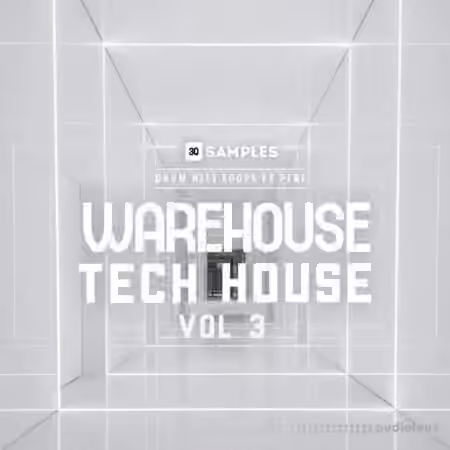 3q Samples Warehouse Tech House Vol 3 [WAV]