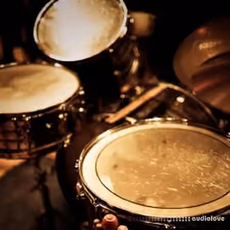 Ableton Live 12 Session Drums Studio v9.2 [Ableton Live]