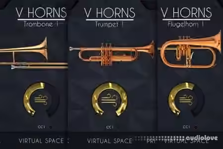 Acousticsamples VHorns Brass Section [Falcon]