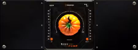 Acustica Audio Fire The Pump 2023 [WiN]