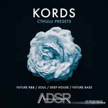 ADSR Sounds Kords [Synth Presets, MiDi]