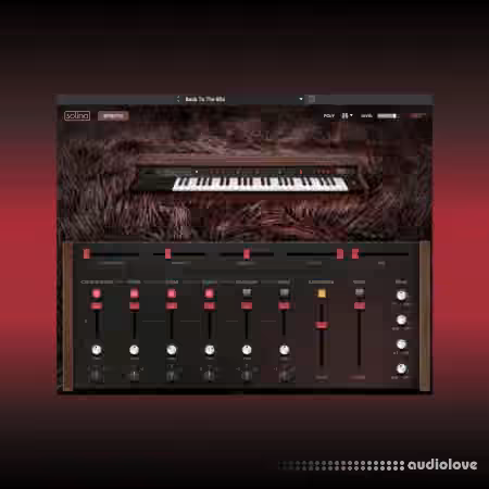 AIR Music Technology Solina v1.2.1.14 [WiN]
