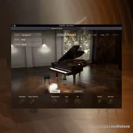 AIR Music Technology Stage Piano v1.2.1.14 [WiN]