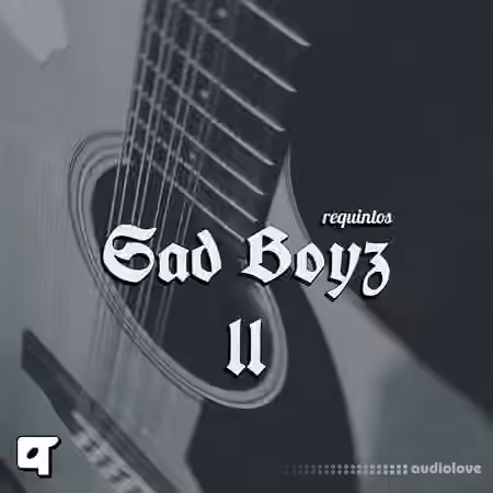 Akyai Requintos Sad Boyz ii [WAV]
