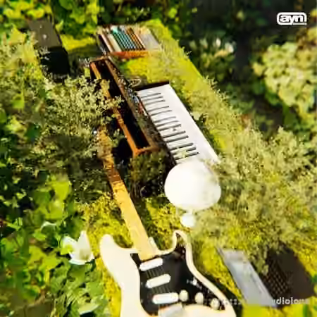 All You Need Synth Mania Vol.2 [WAV, Synth Presets]