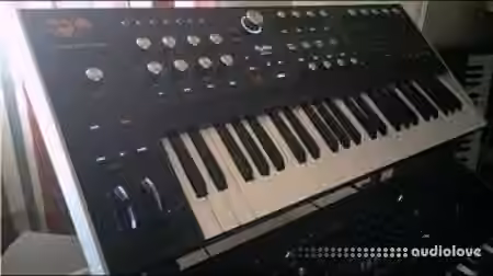 Alphacode 50 Custom Patches [Synth Presets]