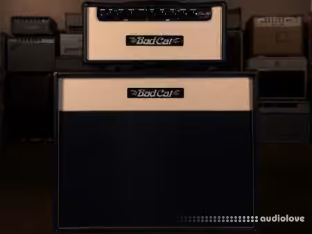 Alter Amp Works ERA 30 Tonex Capture pack