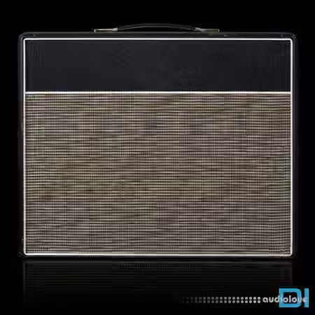 Amalgam Audio MRSH JT18 NAM Captures Essentials DI [Synth Presets]