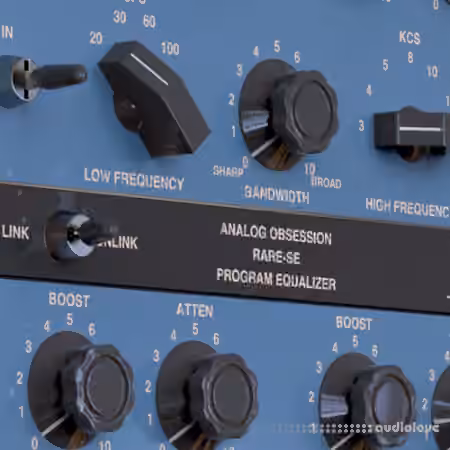Analog Obsession RareSE v3.0 RETAiL [WiN, MacOSX]