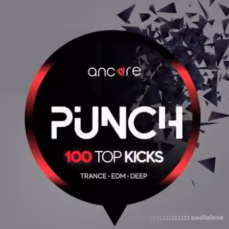 Ancore Sounds PUNCH 100 Top Kicks [WAV]