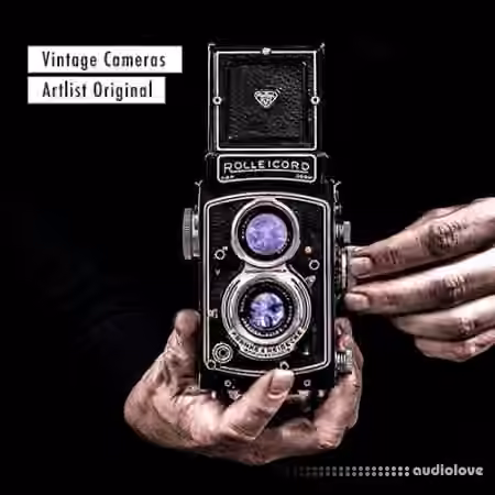 Artlist Vintage Cameras SFX Pack [WAV]