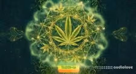 Atix Universe RASTA 528Hz v1.1.8 [WiN]