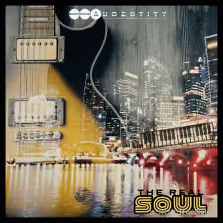 Audentity Records The Real Soul [WAV]