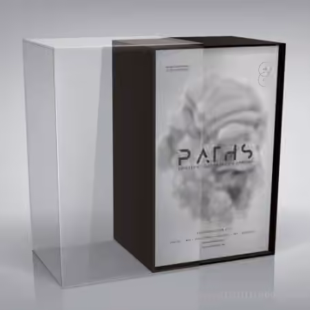 Audiomodern Paths [KONTAKT]
