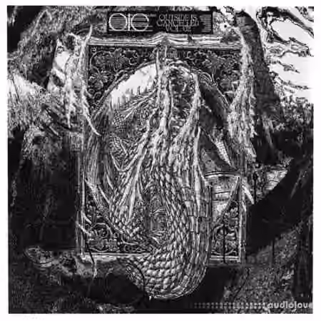 Ayarcana OUTSIDE IS CANCELLED Sample Pack Vol.2 [MULTiFORMAT]