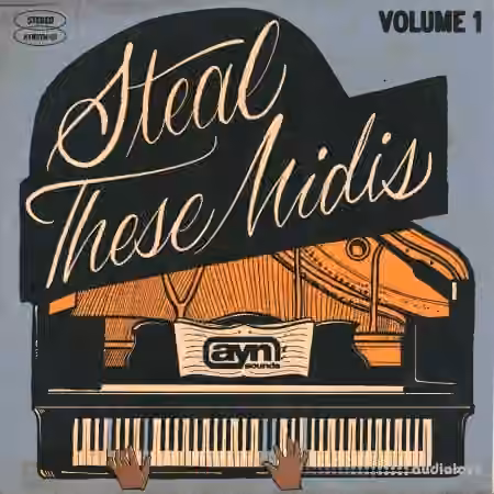 AYN Sounds Steal These Midis Vol.1 [MiDi]