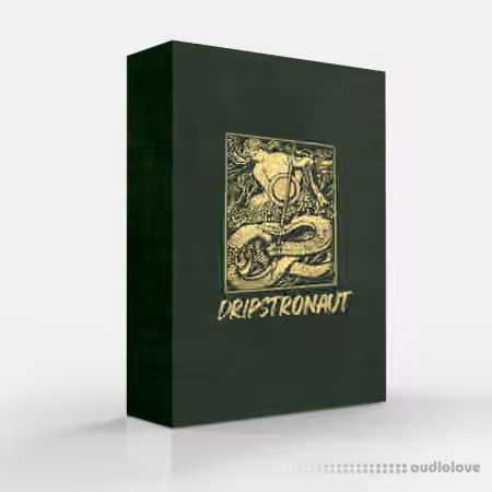 Ayy Walker Dripstronaut Drum Kit / Loop Kit [WAV, DAW Templates]
