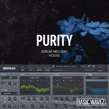 Baisc Wavez Embers Purity Melodic House Presets [Synth Presets]