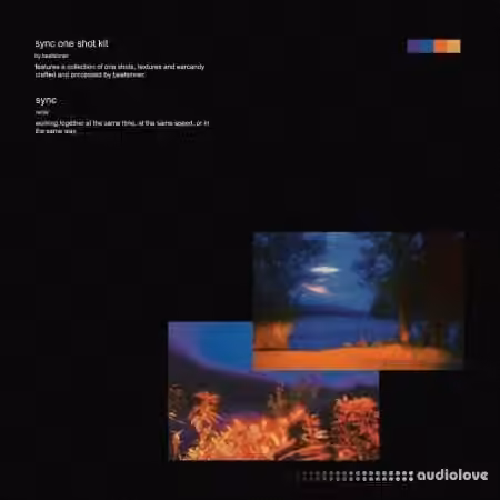 Beatsinner Sync One Shot Kit [WAV]