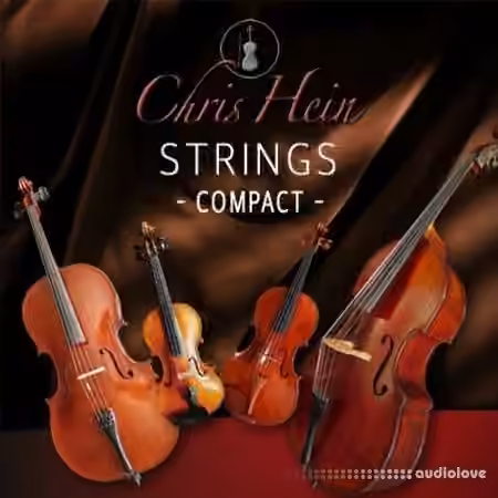 Best Service Chris Hein Strings Compact [KONTAKT]
