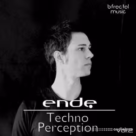 BFractal Music Techno Perception Vol.2 [WAV]