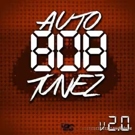 Big Citi Loops Auto 808 TuneZ Vol 2 [WAV]