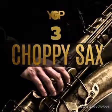 Big Citi Loops Choppy Sax 3 [WAV]