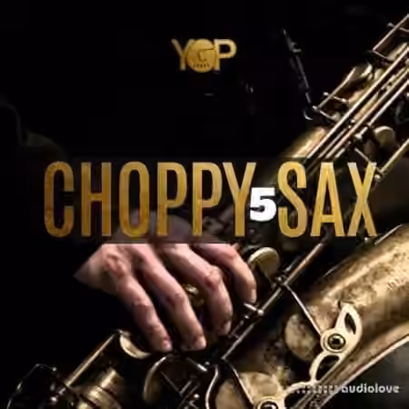 Big Citi Loops Choppy Sax 5 [WAV]