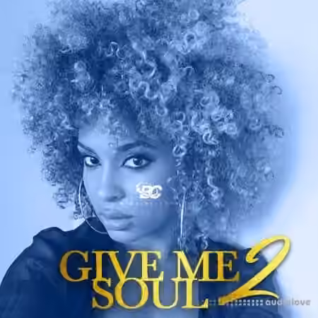 Big Citi Loops Give Me Soul 2 [WAV]