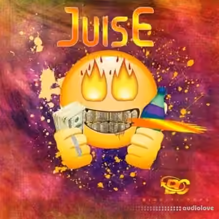 Big Citi Loops Juise [WAV]