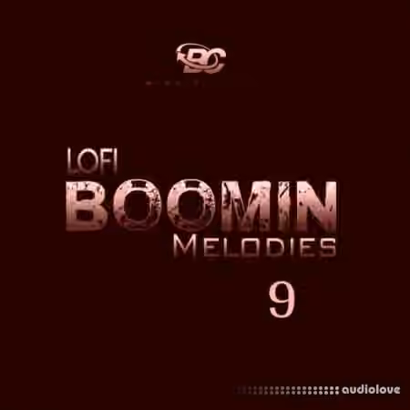 Big Citi Loops Lofi Boomin Melodies 9 [WAV]