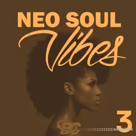Big Citi Loops Neo Soul Vibes 3 [WAV]