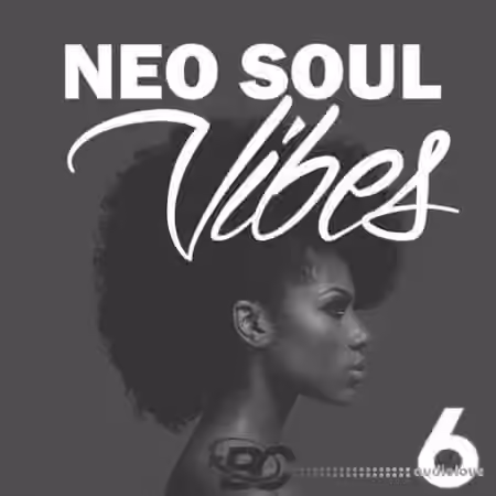 Big Citi Loops Neo Soul Vibes 6 [WAV]