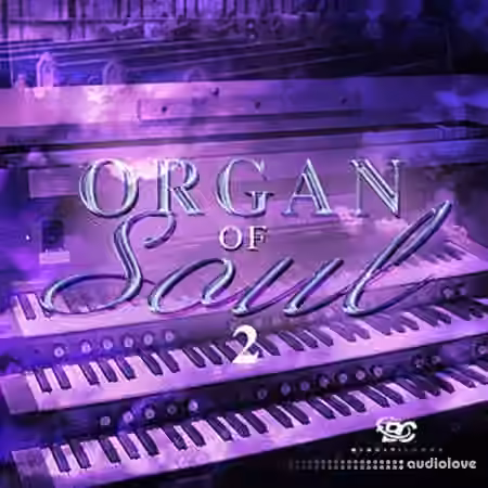 Big Citi Loops Organ Of Soul 2 [WAV]