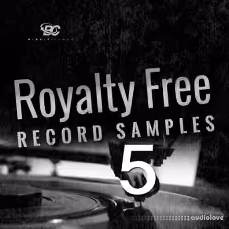 Big Citi Loops Royalty-Free Record Samples Part 5 [WAV]