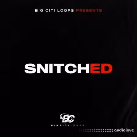 Big Citi Loops Snitched [WAV]