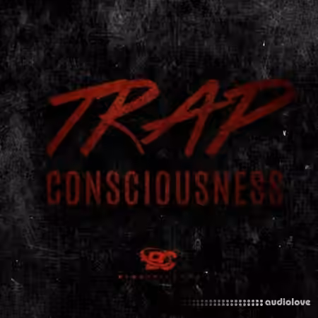 Big Citi Loops Trap Consciousness [WAV]