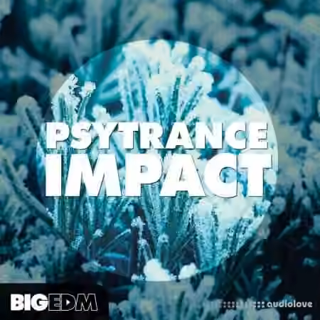 Big EDM Psytrance Impact [WAV, MiDi, Synth Presets]