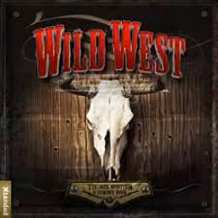 Big Fish Audio Wild West [KONTAKT]