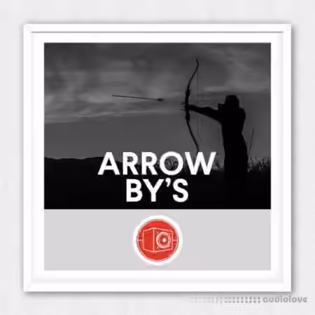 Big Room Sound Arrow By's [WAV]