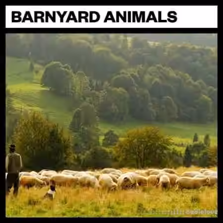 Big Room Sound Barnyard Animals [WAV]