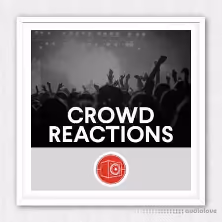 Big Room Sound Crowd Reactions [WAV]