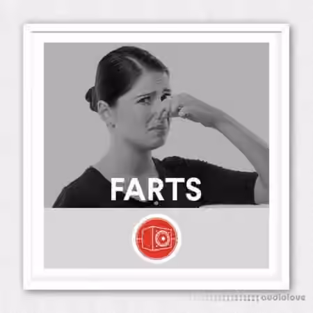 Big Room Sound Farts [WAV]