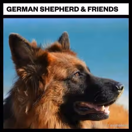 Big Room Sound German Shepard and Friends [WAV]