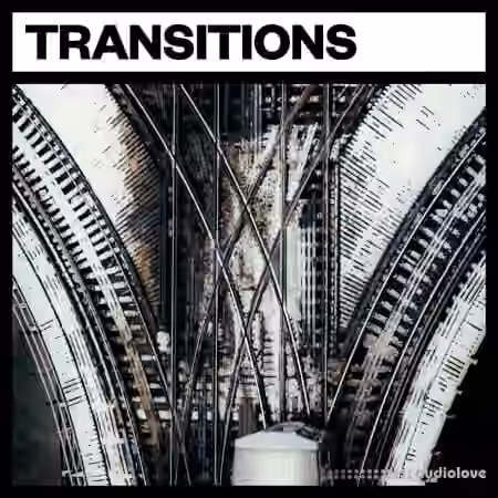 Big Room Sound Transitions [WAV]