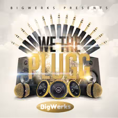 BigWerks We The Plugg [Synth Presets]