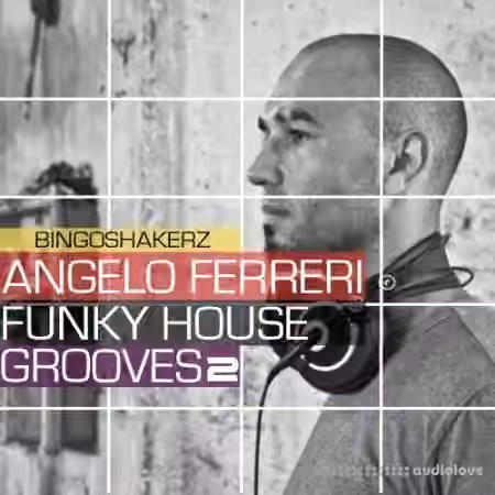 Bingoshakerz Angelo Ferreri Funky House Grooves 2 [WAV]