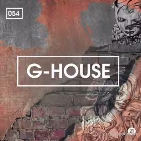 Bingoshakerz G-House [WAV, MiDi]